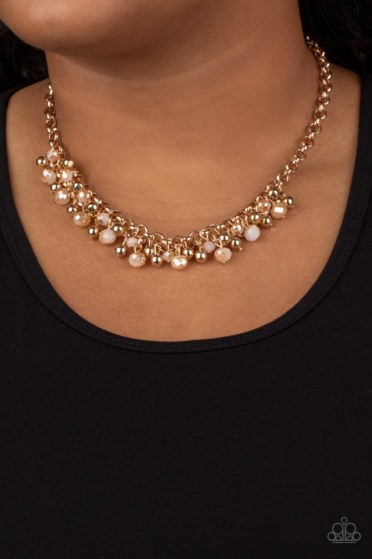 Trust Fund Baby Paparazzi Necklace with Earrings